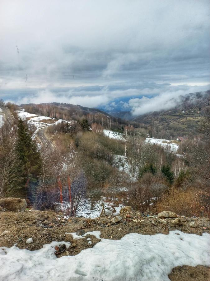 Milmari Resort N56 Kopaonik Wellnes&Spa エクステリア 写真
